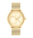 Orologio da donna Calvin Klein - 25200034
